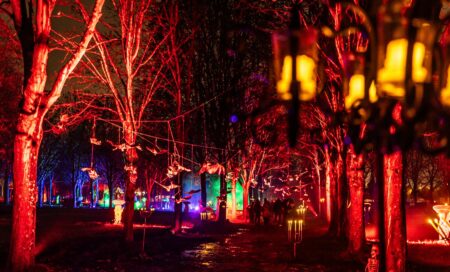 Le parc de l’étrange